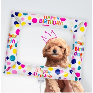 Aluminum Coating Balloon Photo Picture Frame Fun Web Celebrity Birthday Circle of Friends Printing Polka Dot Selfie